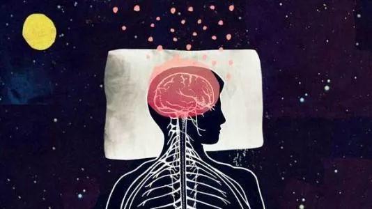 NMN为什么能改善睡眠问题? NMN为什么能改善睡眠问题?