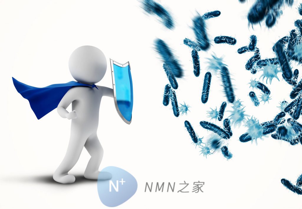 NMN增加人体免疫力